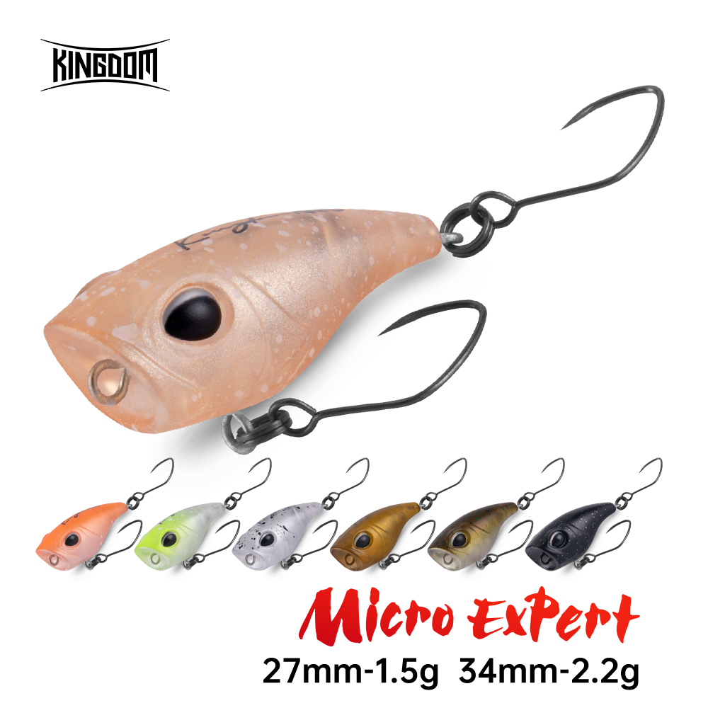 المملكة مايكرو اكسبرت توبواتر  - مراجعة Fishing Lure Popper وسعره